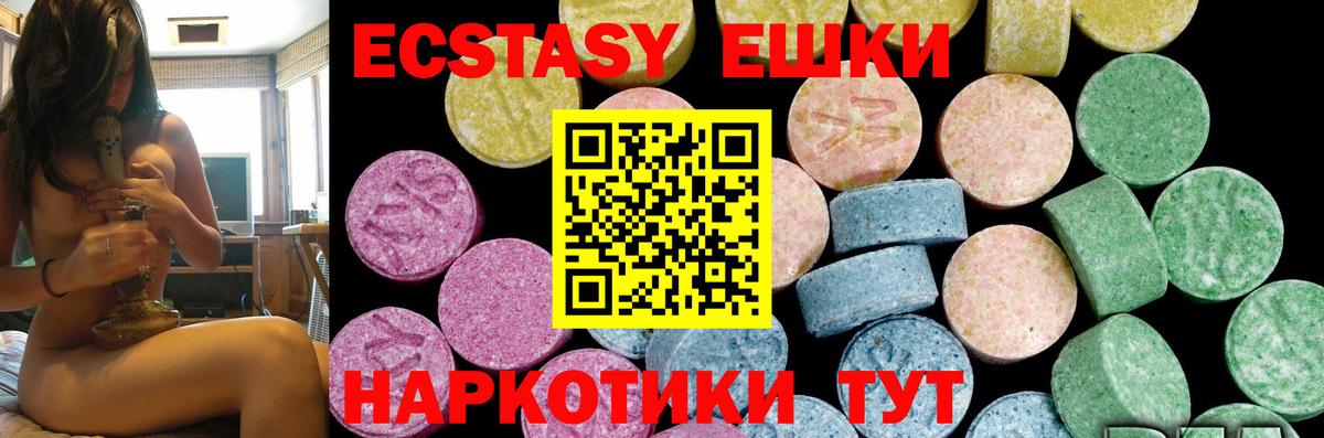 Междуреченск  Ecstasy Philipp Plein  Вход с VPN 