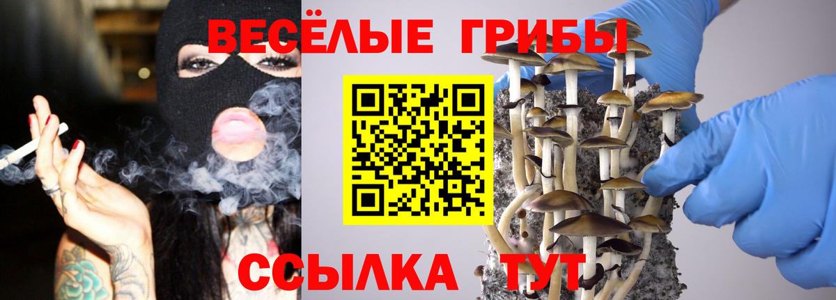 Галлюциногенные грибы мицелий Междуреченск