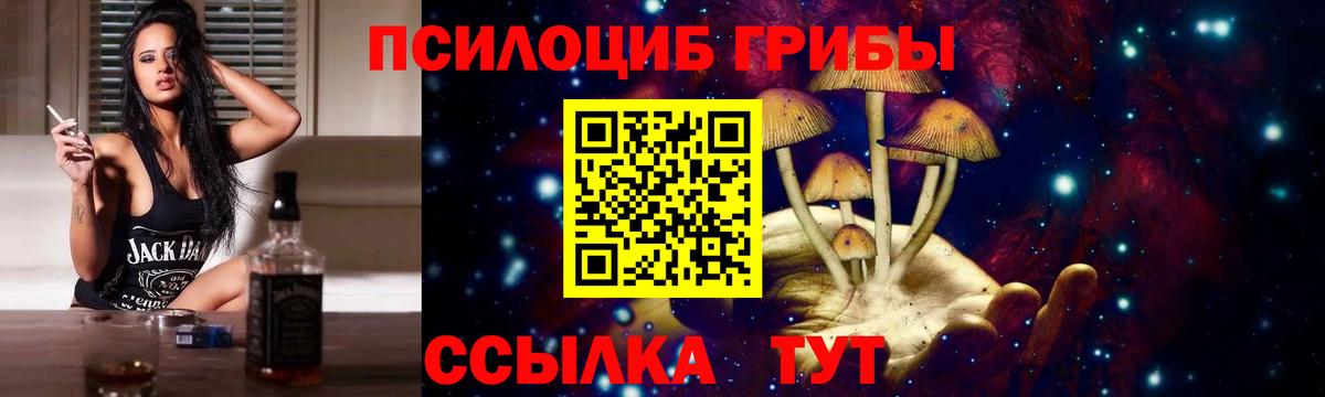 Галлюциногенные грибы Psilocybine cubensis  Вход с VPN  Междуреченск  Галлюциногенные грибы Psilocybine cubensis 
