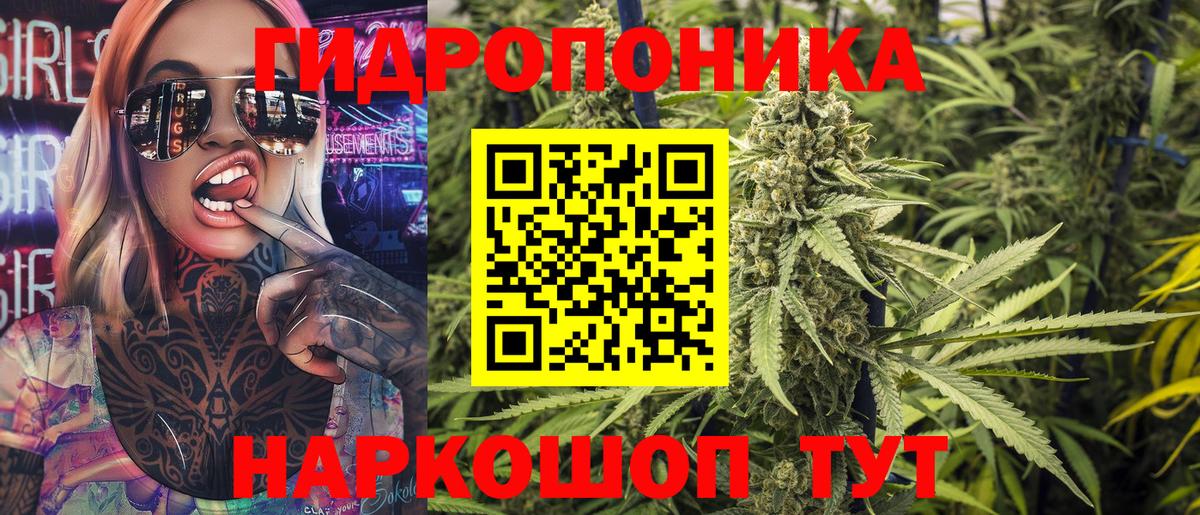 Бошки Шишки ГИДРОПОН  Бошки Шишки White Widow  Бошки марихуана VHQ  Междуреченск  Вход с VPN  Бошки Шишки SATIVA & INDICA 